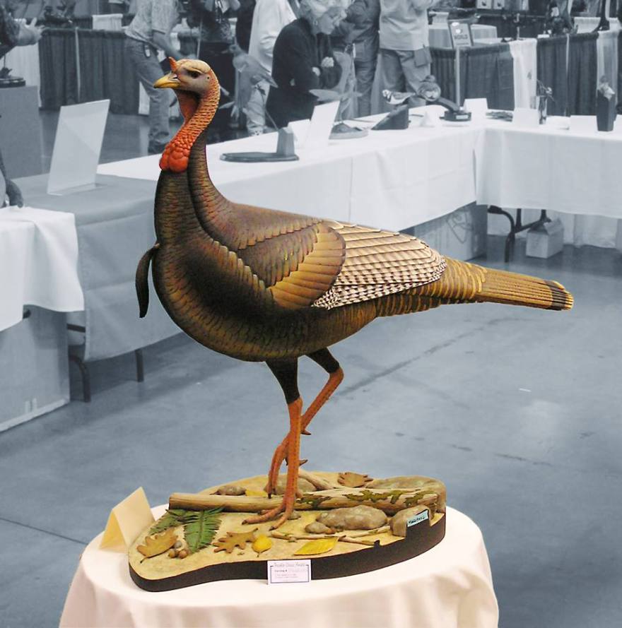 17457413_1379841022072165_8816647946902736601_n