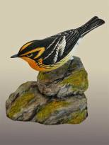 19665424_1480554882000778_4533873910266271263_n