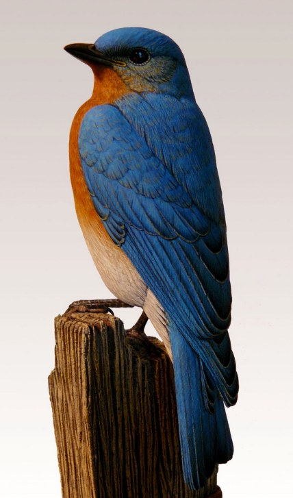Bluebird (lifesize)