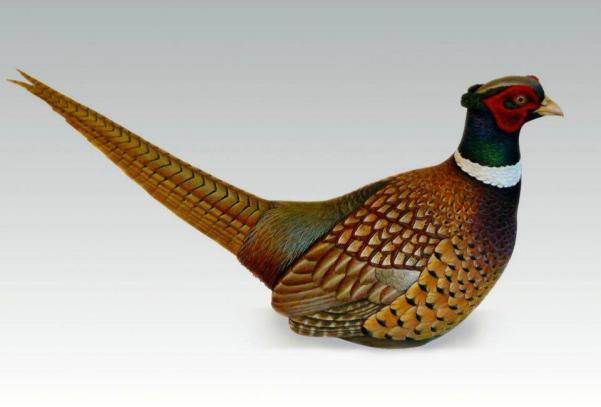 Lifesize Pheasant
