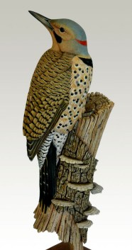 Northern Flicker (lifesize)sm