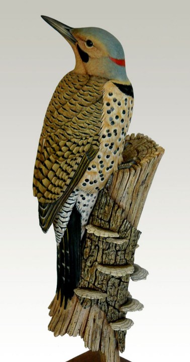 Northern Flicker (lifesize)sm