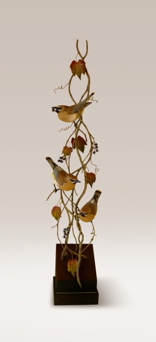 Waxwing photo adjusted new