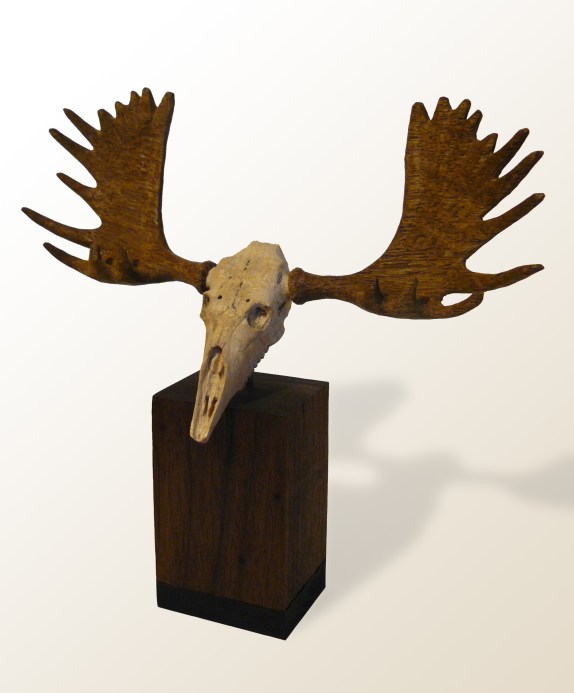 Moose Antlers (minature)