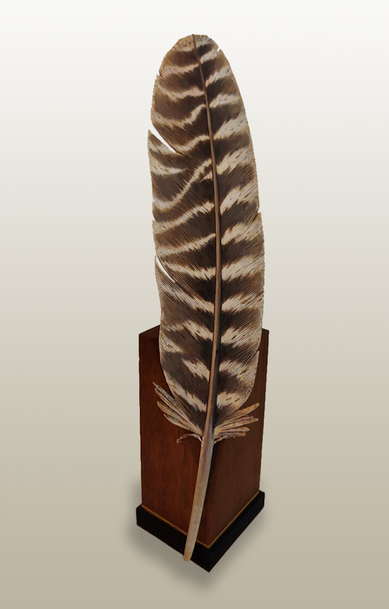 Wild Turkey Rechin - Front